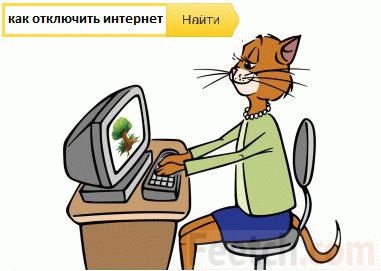 Кот пытается отключить интернет